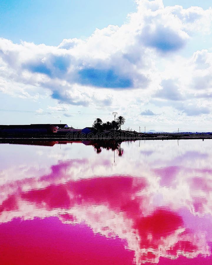 Salt flats stock photo. Image of trees, palm, colours 112515666