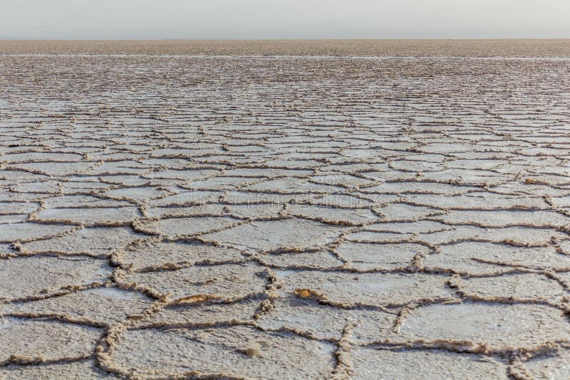 Salt Flats of Danakil Depression, Ethiop Stock Image Image of view