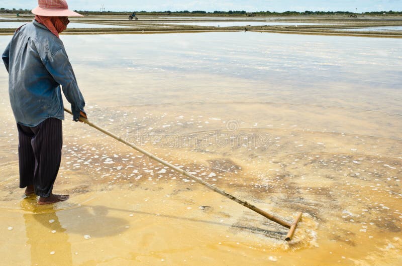 Sea salt harvesting editorial photo. Image of landscape 43164366