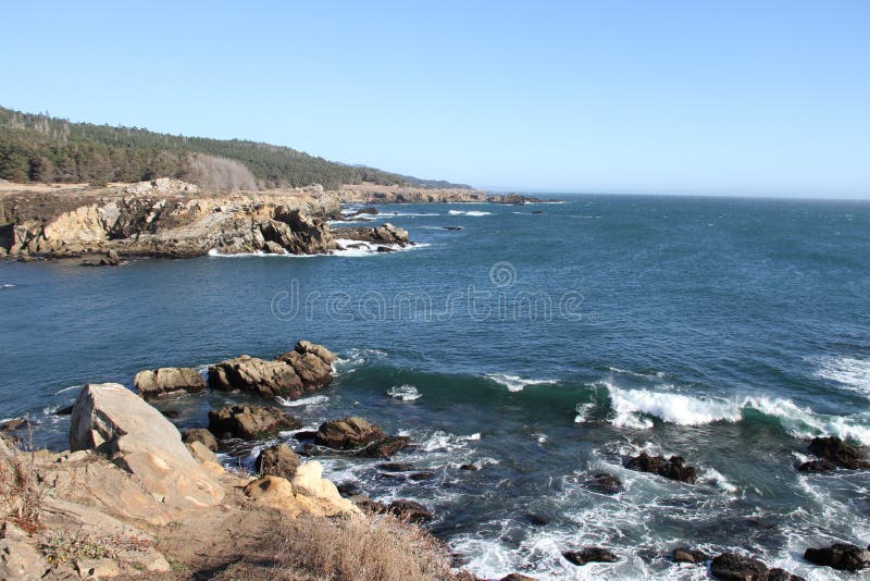 Salt Point State Park California Stock Image Image of trees