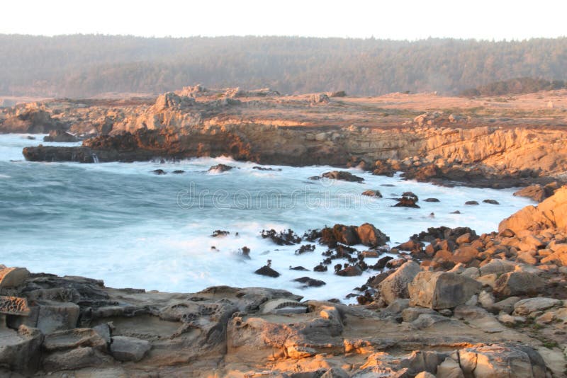 Salt Point State Park California Stock Image Image of america, nature