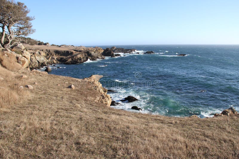Salt Point State Park California Stock Photo Image of coast, salt
