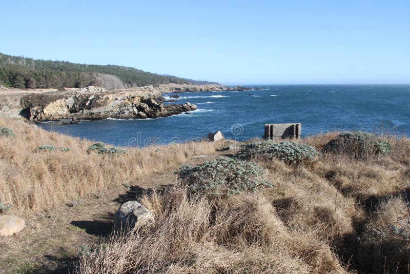 Salt Point State Park California Stock Image Image of trees