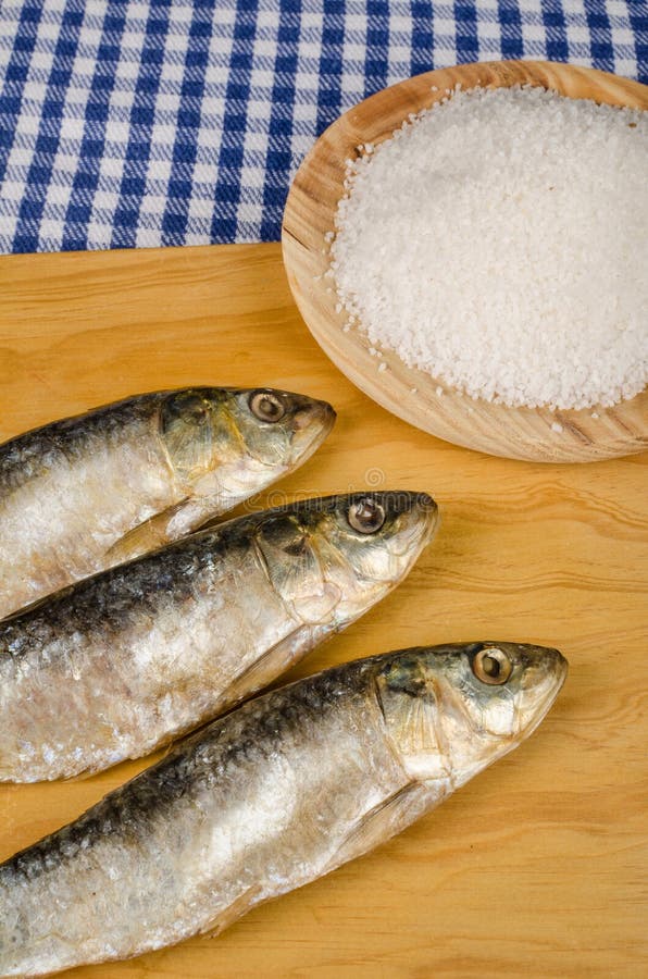 Sardines preserved in salt stock photo. Image of dead 16178558