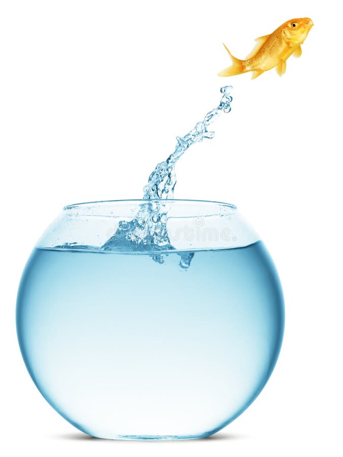 Saltar do Goldfish da água fotografia de stock royalty free Saltar do Goldfish da água fotografia de stock royalty free