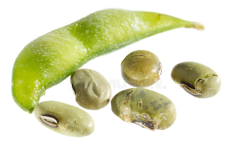 Dried Edamame Soy Beans stock photo. Image of snack, close 8644290