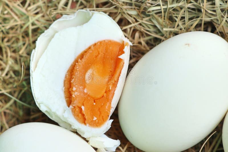 Salted egg stock photo. Image of healthy, brown, sale 100306350