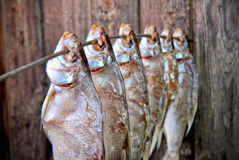 Salted fish stock photo. Image of appetizer, smell, saline 20291608