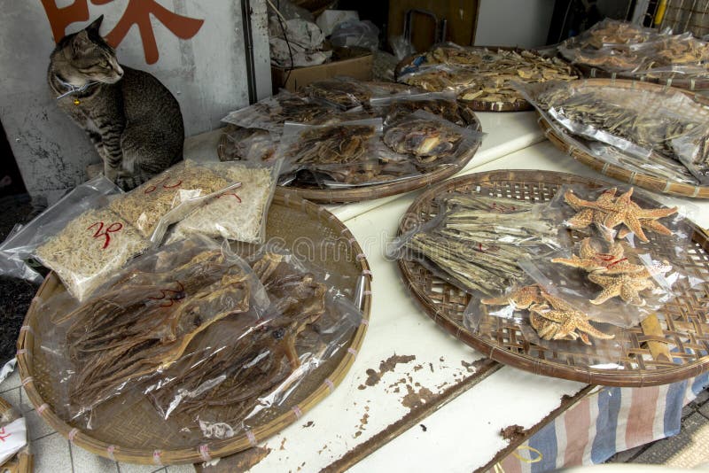 Salted fish and cat royalty free stock images