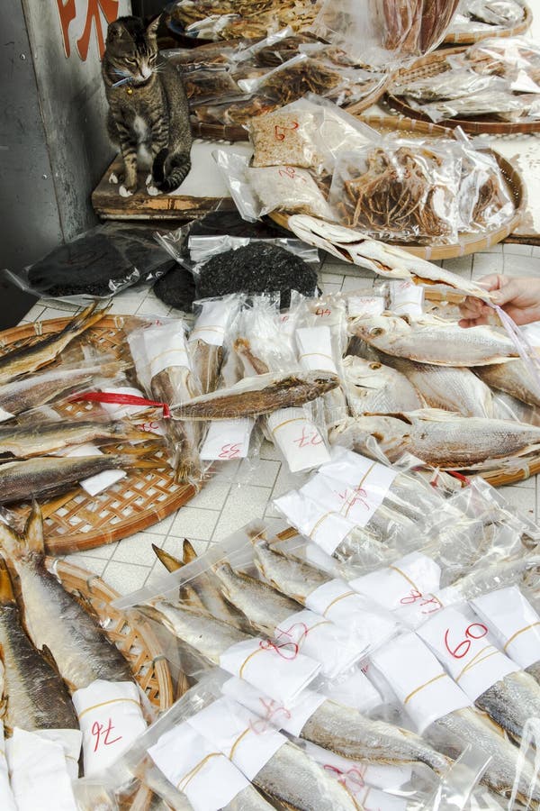 Salted fish and cat royalty free stock photos