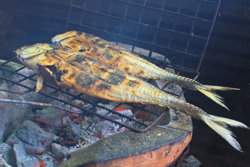 Salted Fish on a Grill Stove Stock Image Image of grilling, dish