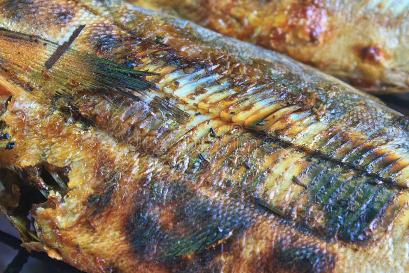 Salted Fish on a Grill Stove Stock Photo Image of cook, dish 40755024