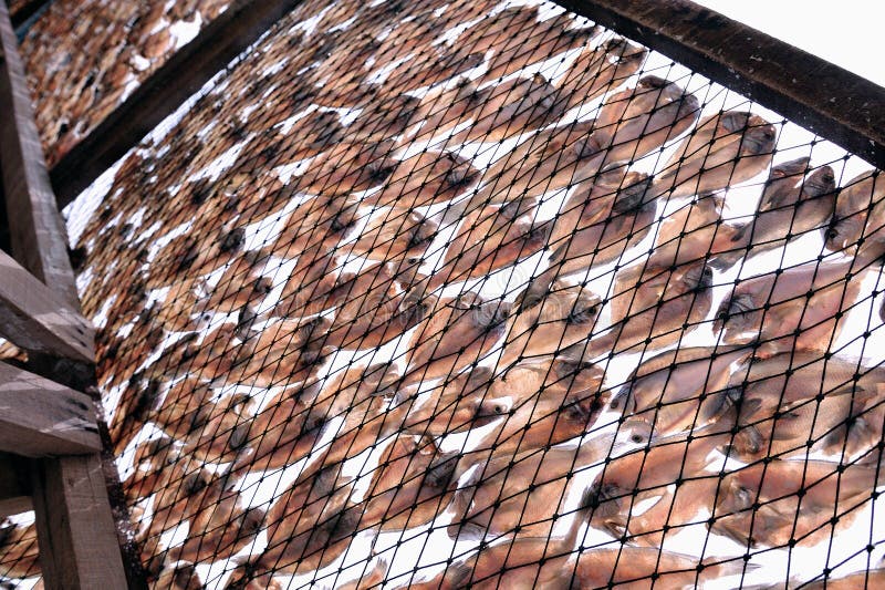 Salted fish industry 2 royalty free stock image