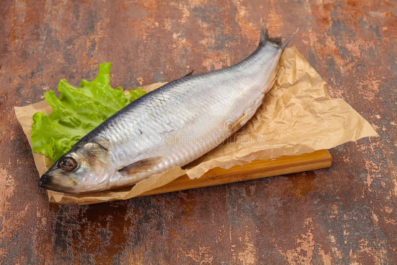 Salted herring fish stock photo. Image of healthy, lifestyle 167917552