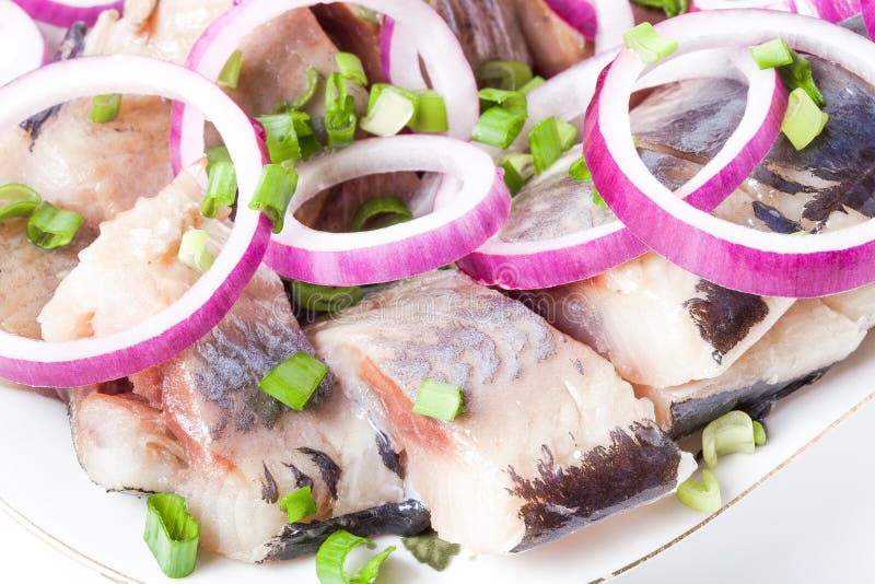 Salted herring with rings of red onion rings on oval plate on a light background . Marinated sliced fish. Traditional russian