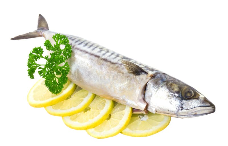 Salted mackerel stock photo. Image of dinner, leaf, parsley 26011436