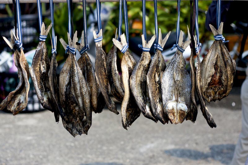 Salted Milkfish stock photo. Image of background, dried 22084172