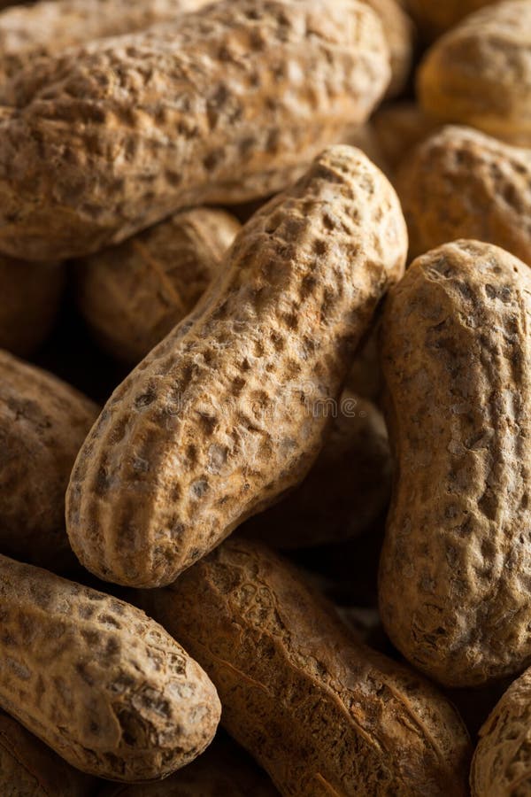 Salted Roasted Shelled Peanuts Stock Image Image of pile, crunchy