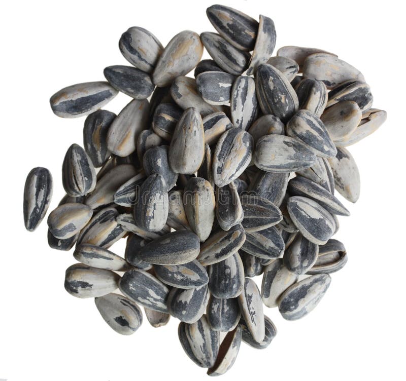 Salted Sunflower seeds stock image. Image of seeds, white 6272707