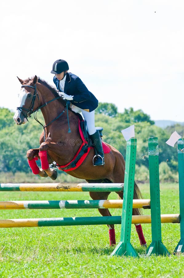 Tenda Oscurante Per Finestre Silhouette Di Cavallo Cavaliere Al Galoppo - Foto 5