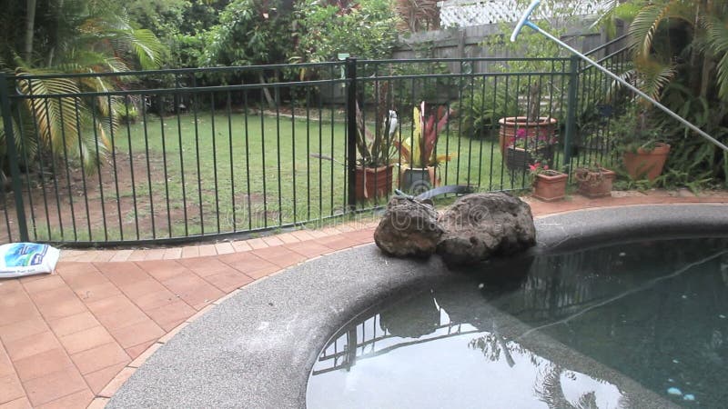 Salting A Swimming Pool