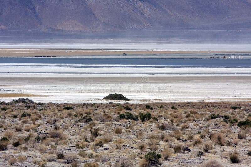 saltlake стоковые фото saltlake стоковые фото