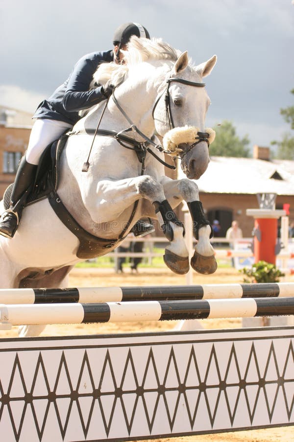 Jumping white horse. Equestrian event. Jumping white horse. Equestrian event