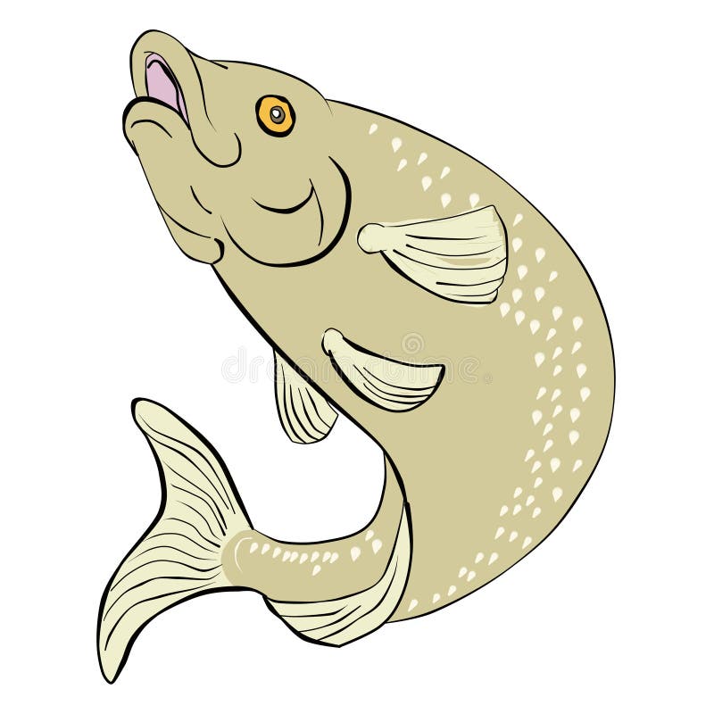 Salto de los pescados de la trucha libre illustration Salto de los pescados de la trucha libre illustration