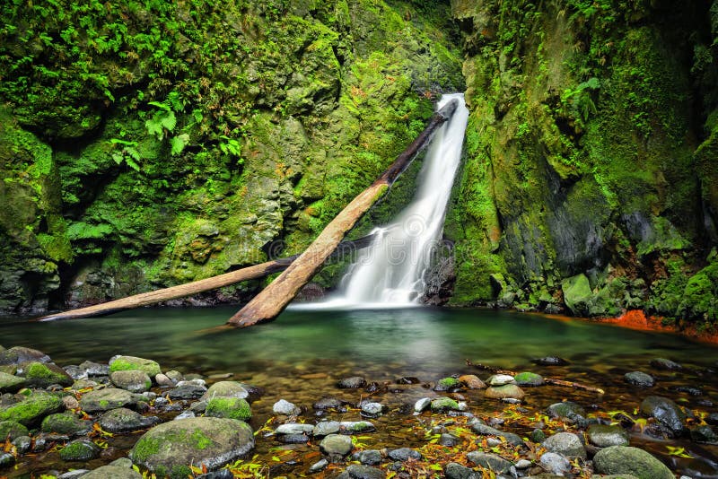 Salto do Cagarrao Waterfall, Sao Miguel Island, Azores, Portugal