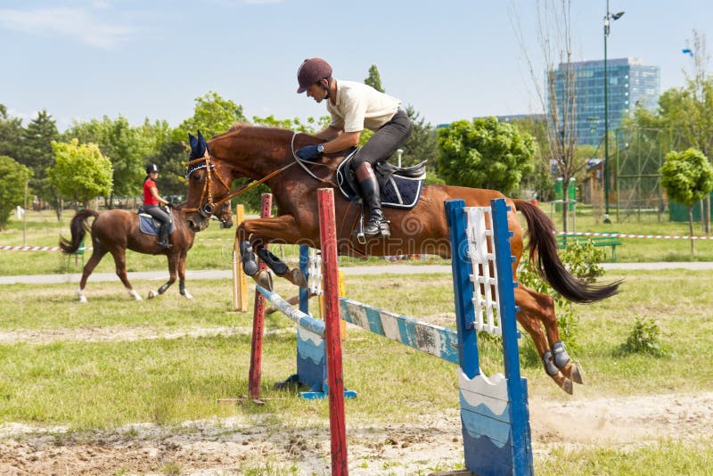 Foto de Cavalo Pulando Obstáculos e mais fotos de stock de Adulto