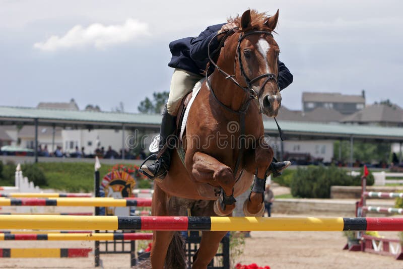 Cavaleiro No Cavalo Da Baía No Salto Esportivo No Congresso