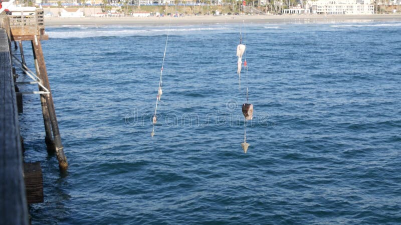 Saltwater Angling on Pier California USA. Sea Ocean. Fishing Catch