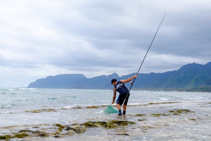 Oahu Fishing Tide Chart