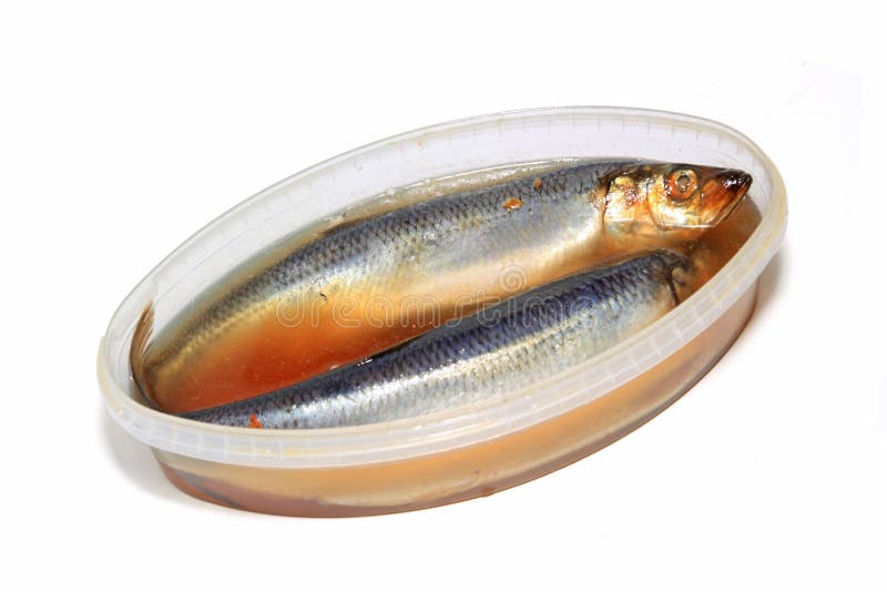 Salty herring stock image. Image of catch, market, brine 23280871