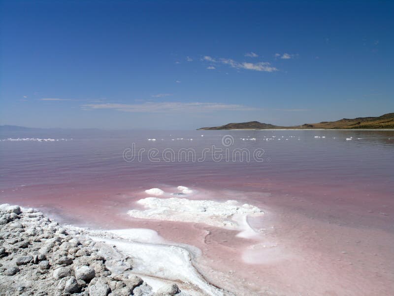 Salty Shore Of The Great Salt Lake Stock Photography Image 19879182