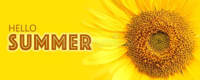 Salut textul verii și detaliile de închidere a florei-soarelui cu privire la fotografia macrocomenzii de fundal a banderului galbe royalty free stock photography