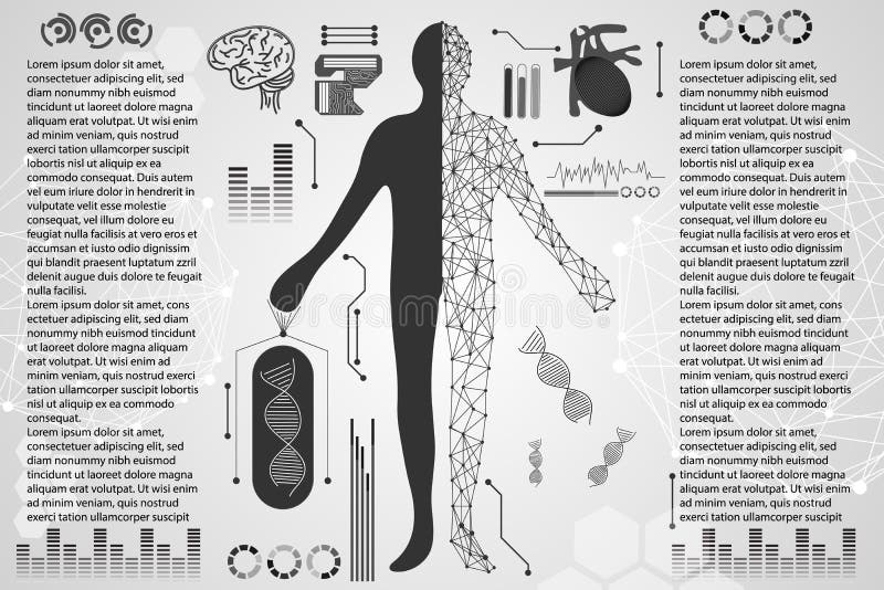 Salute digitale astratta Ca del corpo umano di concetto di scienza di tecnologia illustrazione vettoriale Salute digitale astratta Ca del corpo umano di concetto di scienza di tecnologia illustrazione vettoriale