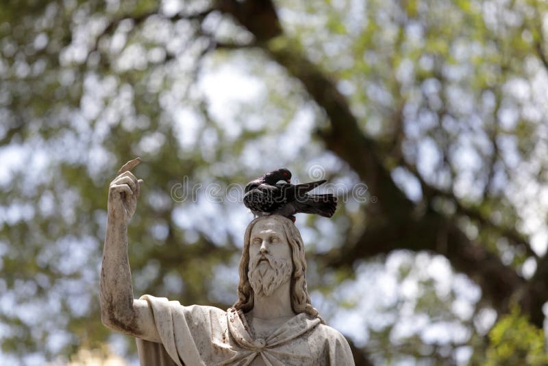Pigeon sculpture in salvador stock photos Pigeon sculpture in salvador stock photos