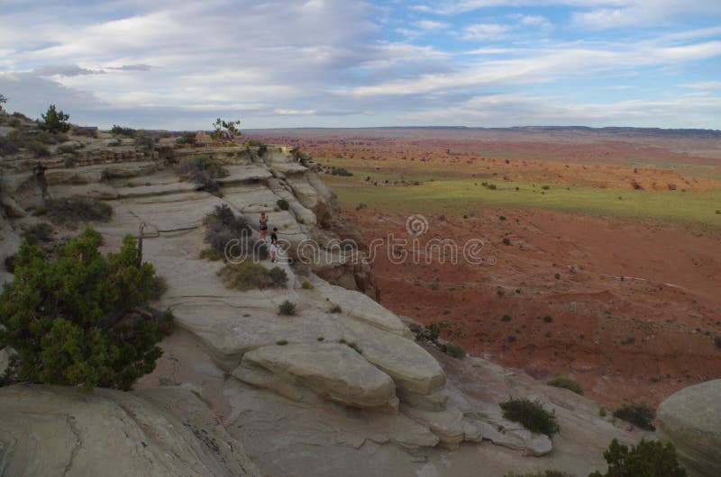 Salz-Wäsche stockbild