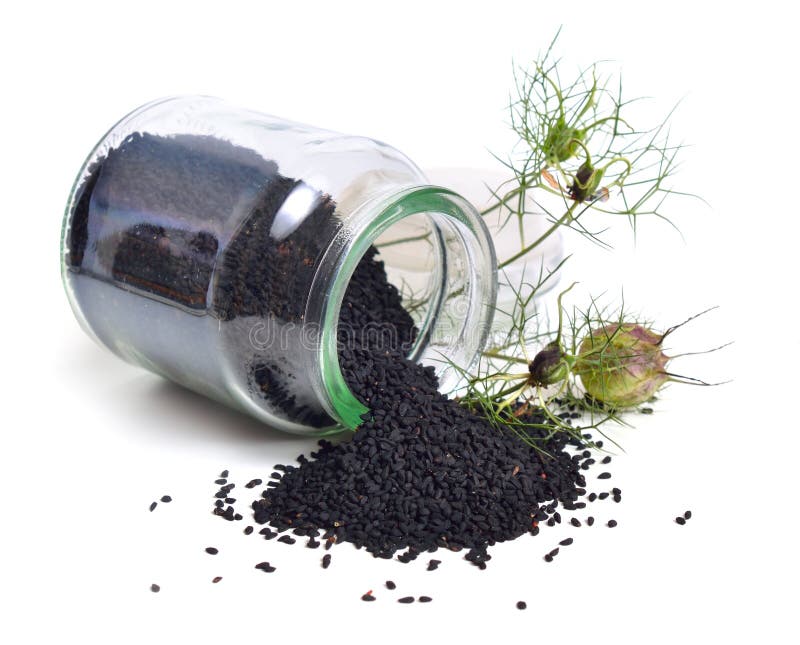 Samen von Nigella Sativa oder von Fenchelblume, Muskatnussblume, Schwarzkümmel, römischer Koriander, Schwarzkümmel, blackseed, Sc stockfoto