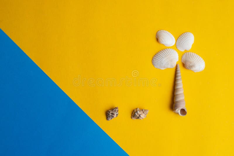 Samenstelling van exotische overzeese shells op een gele en blauwe achtergrond De zomer, overzees en palmconcept Hoogste mening royalty-vrije stock afbeeldingen Samenstelling van exotische overzeese shells op een gele en blauwe achtergrond De zomer, overzees en palmconcept Hoogste mening royalty-vrije stock afbeeldingen