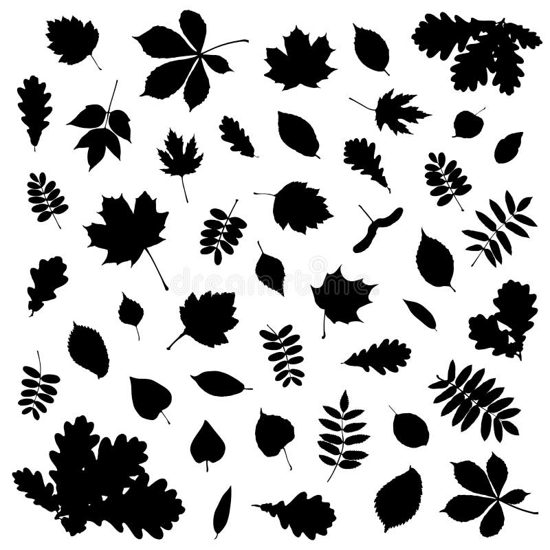 Samling av den svarta bladkonturn på vit bakgrund royaltyfri illustrationer