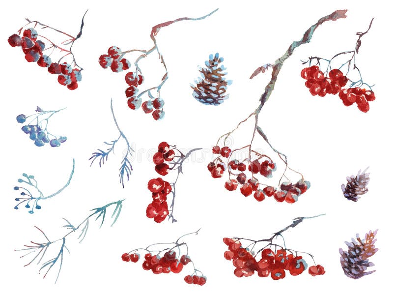 Samling av sidor för rönnbär för vinter för vattenfärghandteckning stock illustrationer Samling av sidor för rönnbär för vinter för vattenfärghandteckning stock illustrationer