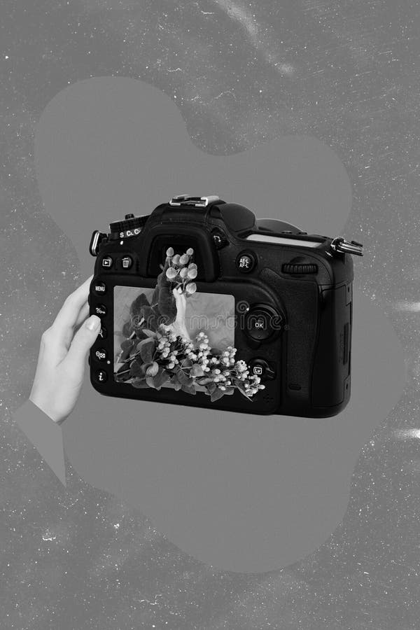 Samlingsbild av armhållare fotografera fotografering av friska blommor som isolerats på ritbakgrunden fotografering för bildbyråer