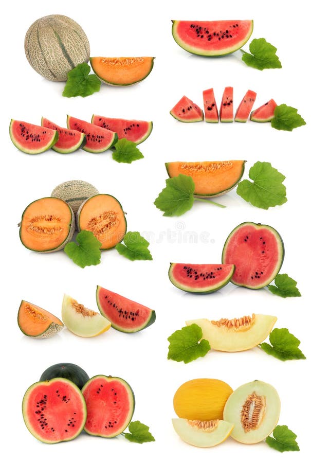 samlingsfruktmelon royaltyfri fotografi samlingsfruktmelon royaltyfri fotografi