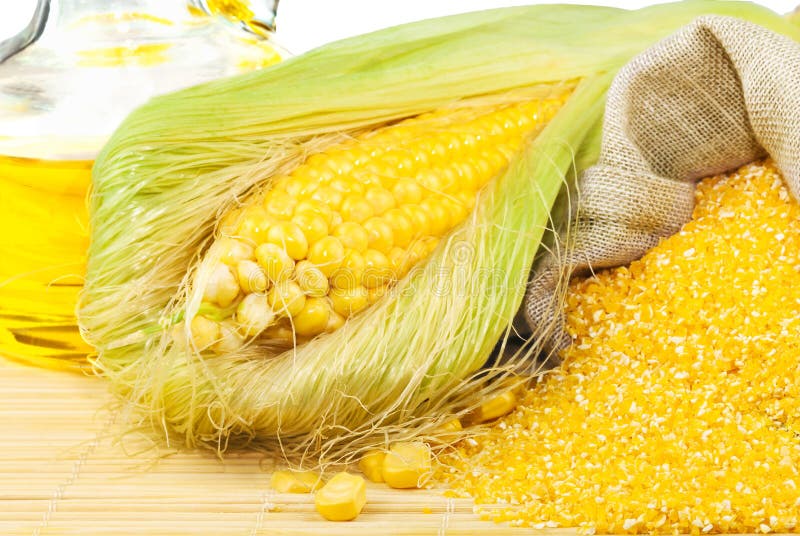 Composition from corn, maize flour and corn oil on the mat on white background. Composition from corn, maize flour and corn oil on the mat on white background