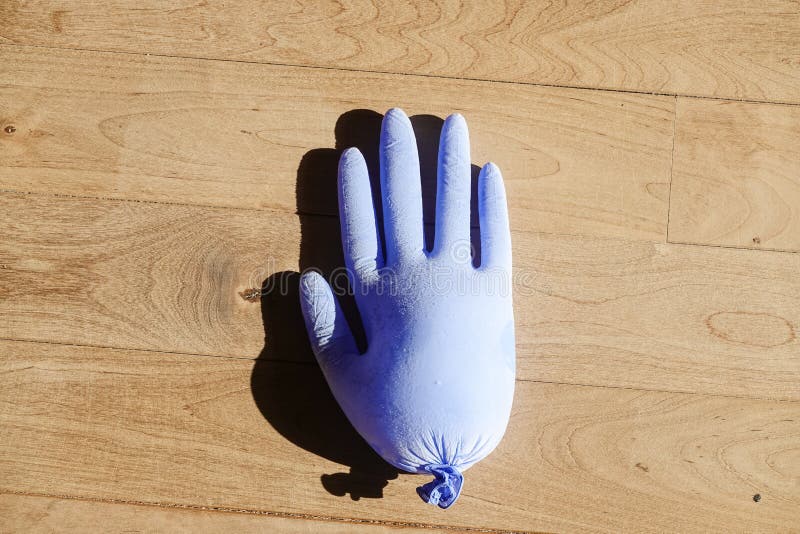 Sammansättning med den djupfrysta gummikryddnejlikan royaltyfri bild Sammansättning med den djupfrysta gummikryddnejlikan royaltyfri bild