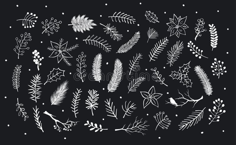 Sammlung der Hand gezeichnet umrissenes und Schattenbildwinterlaub, Niederlassungszweige, Blumen vektor abbildung Sammlung der Hand gezeichnet umrissenes und Schattenbildwinterlaub, Niederlassungszweige, Blumen vektor abbildung