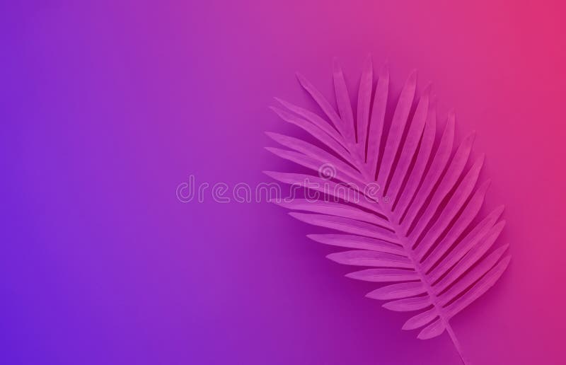 Sammlung tropische Blätter, Laubanlage in der exotischen Farbe mit schwarzem Raumhintergrund Abstrakte Blattdekoration stockfoto Sammlung tropische Blätter, Laubanlage in der exotischen Farbe mit schwarzem Raumhintergrund Abstrakte Blattdekoration stockfoto