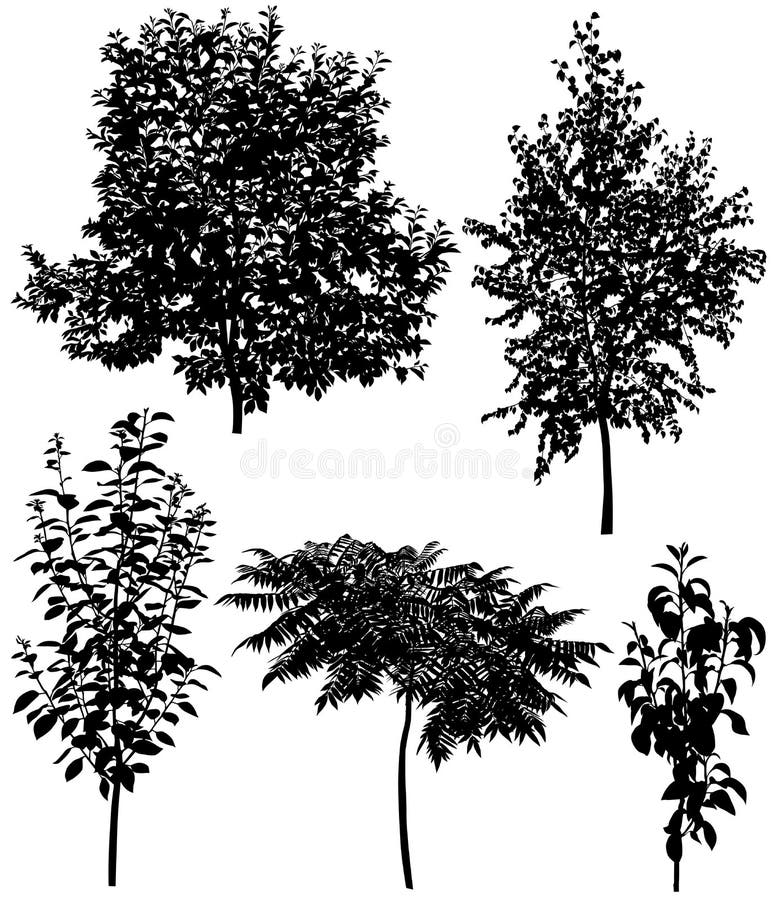 Sammlung verschiedene Spezies von Bäumen: Kirsche, Birne, Pflaume, Birke, sumac vektor abbildung Sammlung verschiedene Spezies von Bäumen: Kirsche, Birne, Pflaume, Birke, sumac vektor abbildung